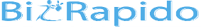 bizRapido Logo